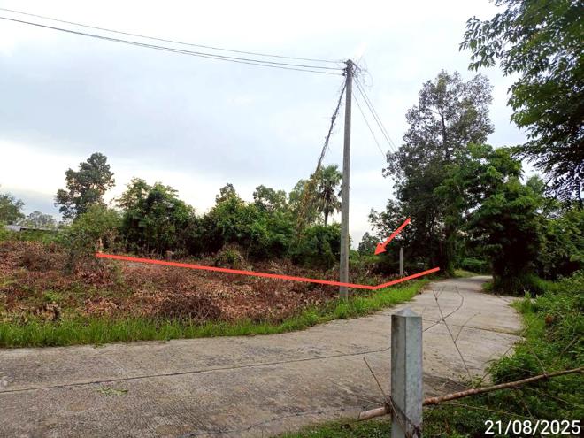 รูป บ้านเดี่ยว 2369 ตร.วา สุวรรณภูมิ ร้อยเอ็ด 1.3M - รูปที่ 9/24