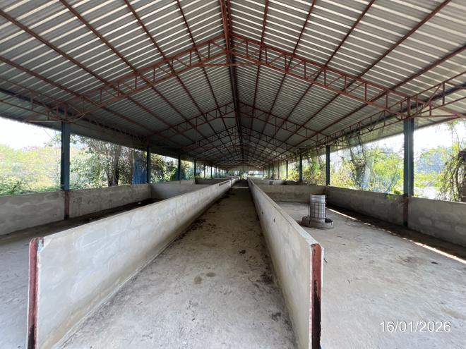 picture LAND 9600 Sq.w. Kao Lieo Nakhon Sawan for 12.6M - 4/46