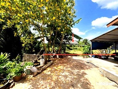 โรงงาน สุราษฎร์ธานี : เพิงอเนกประสงค์ 3056 ตร.วา ไชยา สุราษฎร์ธานี 2.1M