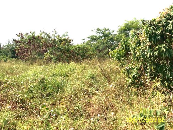 รูป บ้านเดี่ยว 3859 ตร.วา เมืองนนทบุรี นนทบุรี 132.7M - รูปที่ 7/24