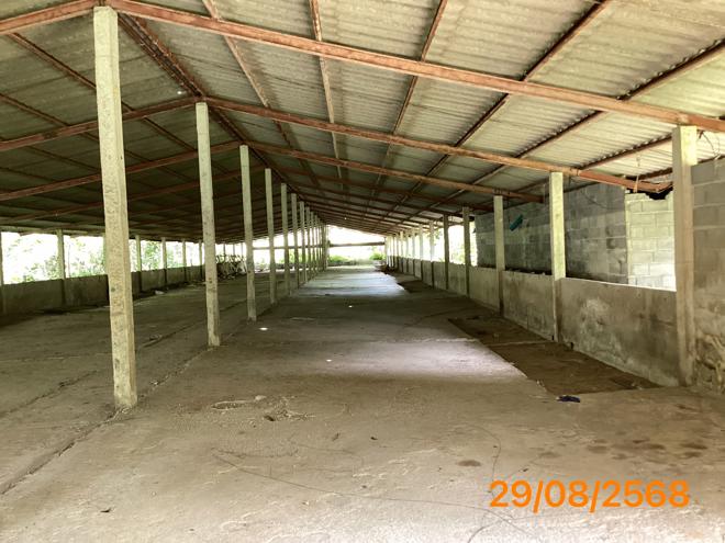 picture LAND 2165 Sq.w. Kapong Phangnga for 4M - 9/36