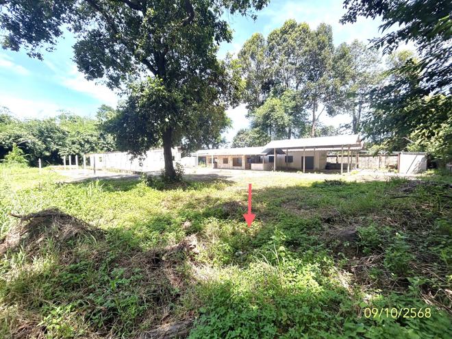 รูป บ้านเดี่ยว 1200.8 ตร.วา เมืองยโสธร ยโสธร 3.5M - รูปที่ 17/40