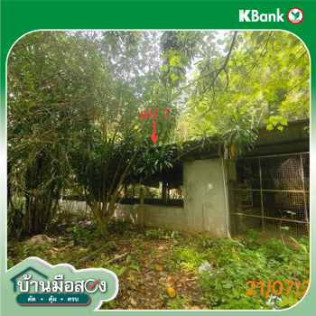 รูป บ้านเดี่ยว 4455.3 ตร.วา ตะกั่วทุ่ง พังงา 5.3M - รูปที่ 40/42