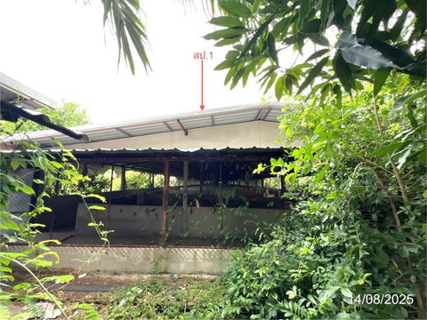 ฟาร์ม 1958 ตร.วา เมืองนครสวรรค์ นครสวรรค์ 4M