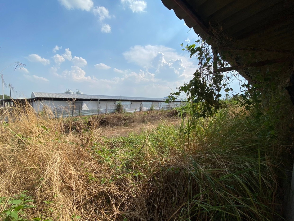 รูป ที่ดินพร้อมสิ่งปลูกสร้าง 1974.5 ตร.วา อำเภอด่านมะขามเตี้ย กาญจนบุรี 1.7M - รูปที่ 6/17