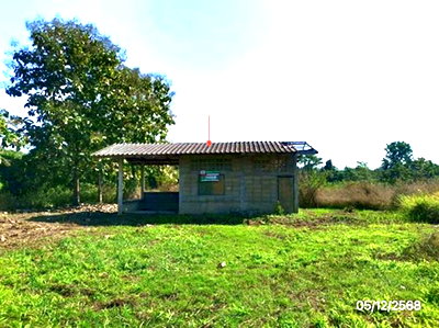 บ้านเดี่ยว เชียงราย : บ้านเดี่ยว 5773 ตร.วา พาน เชียงราย 4.7M