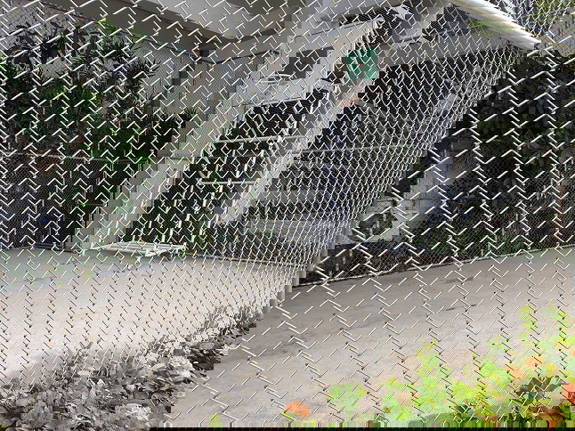 รูป 🔔New🔔 ให้เช่าห้องตกแต่งใหม่ มีอ่างอาบน้ำ ชั้น 21 ไม่มีตึกบัง Ideo Mix Sukhumvit 103 - รูปที่ 20/21