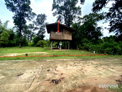 ขายบ้านเดี่ยว : บ้านเดี่ยว 334 ตร.วา สุวรรณภูมิ ร้อยเอ็ด 502,000