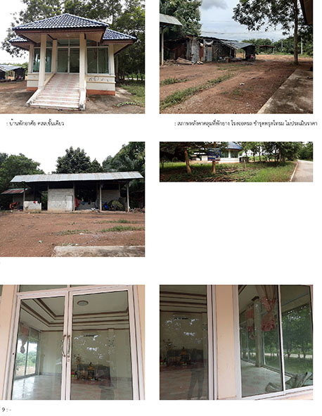 picture LAND 1198 Sq.w. Wang Saphung Loei for 2.5M - 1/2