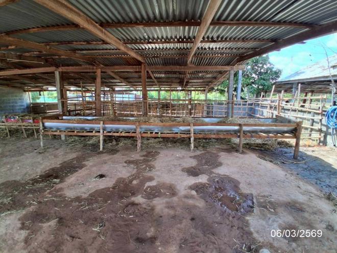 picture HOME 678.7 Sq.w. Nong Phok Roi Et for 5.5M - 14/32