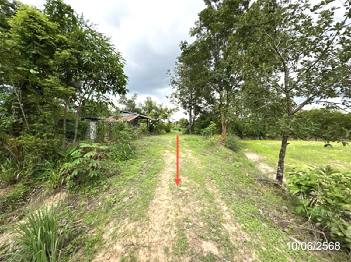 picture FACTORY 4233 Sq.w. Muang Samsip Ubon Ratchathani for 1.7M - 13/24