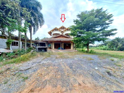 บ้านเดี่ยว 149 ตร.วา ป่าพะยอม พัทลุง 5.6M