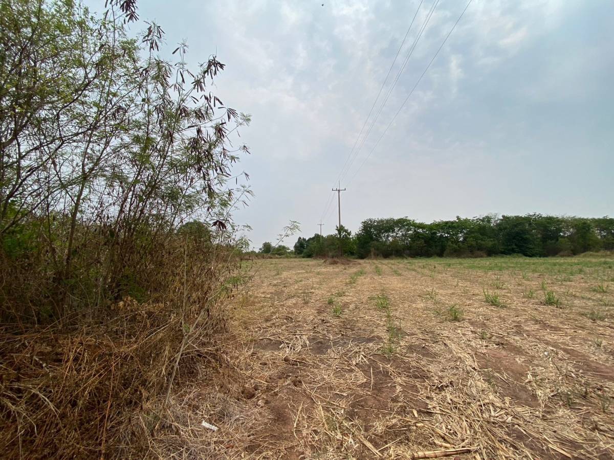 รูป ที่ดินพร้อมสิ่งปลูกสร้าง 35967 ตร.วา อำเภอลำปลายมาศ บุรีรัมย์ 27.5M - รูปที่ 3/9