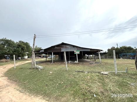 รูป บ้านเดี่ยว 1140 ตร.วา ชุมพลบุรี สุรินทร์ 1.8M - รูปที่ 31/34