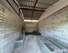 listing thumbnail image 27