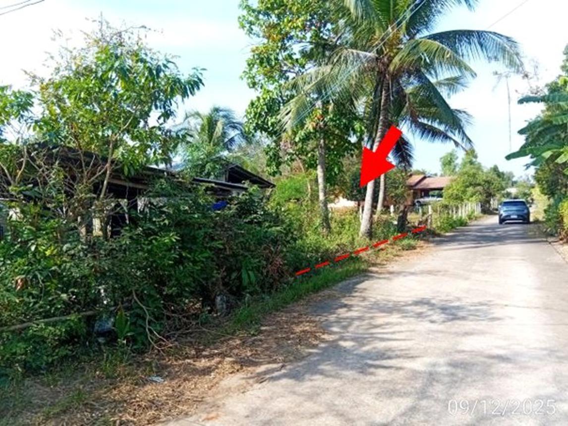 รูป บ้านเดี่ยว 456 ตร.วา หนองหาน อุดรธานี 569,000 - รูปที่ 20/24