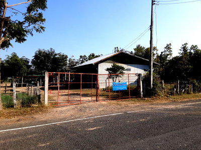 ที่ดิน กระสัง บุรีรัมย์ : ที่ดินพร้อมสิ่งปลูกสร้าง 2400 ตร.วา อำเภอกระสัง บุรีรัมย์ 2.5M