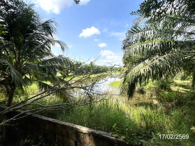 picture FACTORY 3056 Sq.w. Chaiya Surat Thani for 2.1M - 6/20