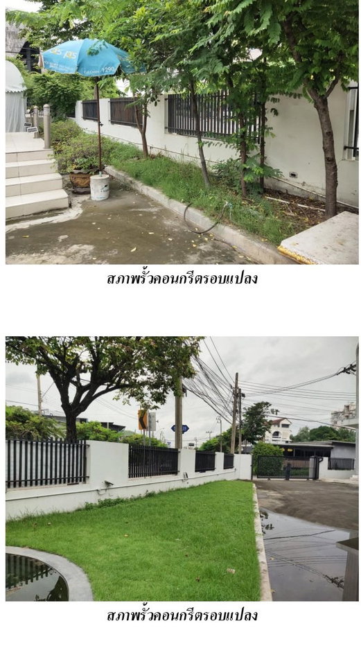 picture OFFICE 849 Sq.w. Lat Phrao Bangkok for 130M - 14/14
