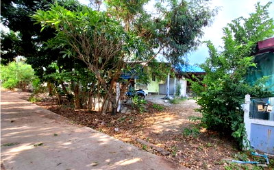 Land for sale Nakhon Ratchasima : LAND 411.5 Sq.w. Sikhiu Nakhon Ratchasima for 822,000