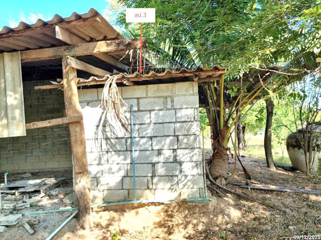 รูป ฟาร์ม 2626 ตร.วา ห้วยกระเจา กาญจนบุรี 4.7M - รูปที่ 12/40