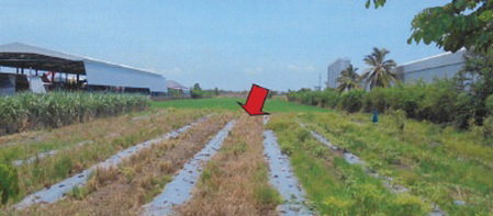 รูป โรงสี 24292 ตร.วา อำเภอบางซ้าย พระนครศรีอยุธยา 109.9M - รูปที่ 16/19