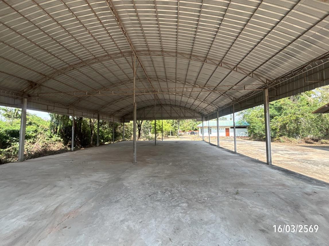 รูป บ้านเดี่ยว 3145 ตร.วา บ้านใหม่ไชยพจน์ บุรีรัมย์ 5.9M - รูปที่ 39/60