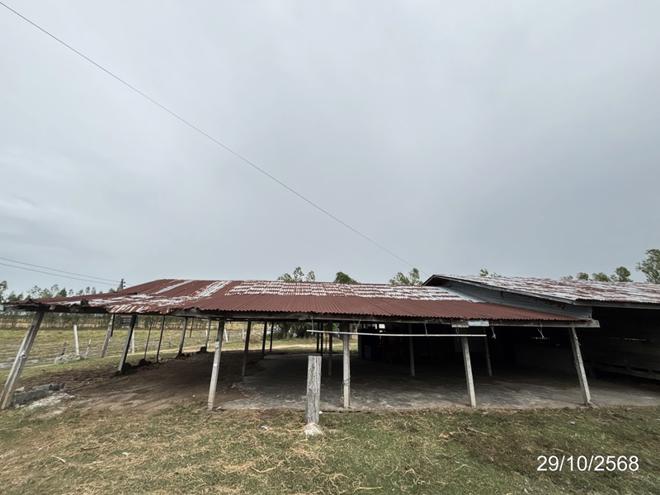 รูป บ้านเดี่ยว 1140 ตร.วา ชุมพลบุรี สุรินทร์ 1.8M - รูปที่ 5/34
