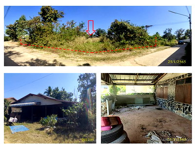 Land for sale Kuchinarai Kalasin : LAND 240 Sq.w. Kuchinarai Kalasin for 471,000