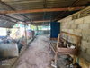listing thumbnail image 41