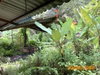listing thumbnail image 26