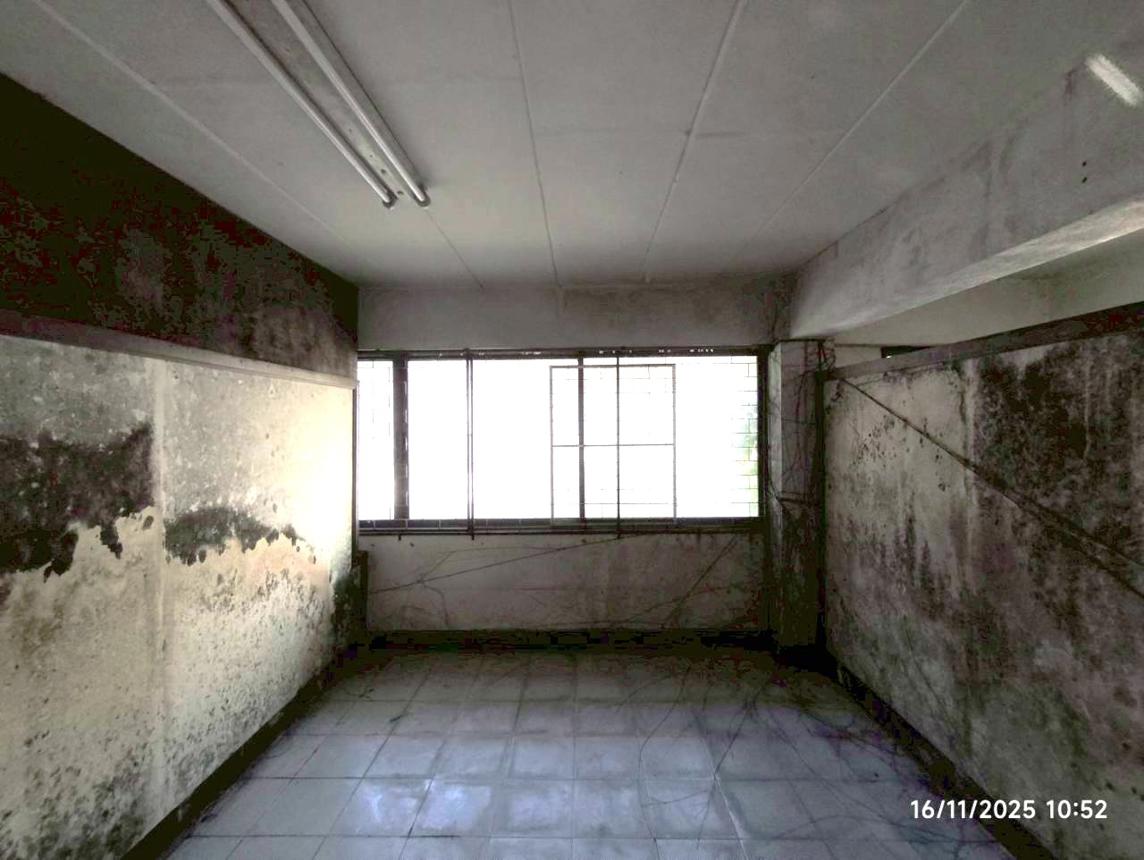 รูป อาคารพาณิชย์ 80 ตร.วา เมืองเชียงราย เชียงราย 6.4M - รูปที่ 33/52