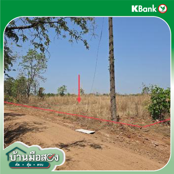 รูป ที่ดินว่างเปล่า 1811 ตร.วา ชนแดน เพชรบูรณ์ 1.4M - รูปที่ 14/16