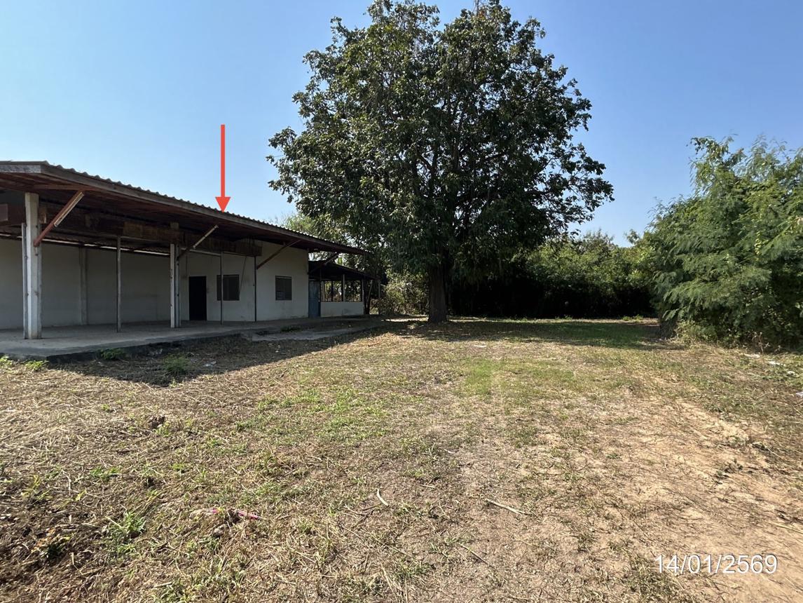 รูป บ้านเดี่ยว 2295.2 ตร.วา พรหมพิราม พิษณุโลก 2.9M - รูปที่ 20/40