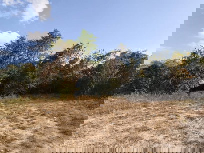 รูป ขายที่ดินซอยเทพมิมิตร ต.หนองปลาไหล บางระมุง ชลบุรี  โทร 095-089-2688   - รูปที่ 4/7