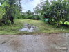 listing thumbnail image 20