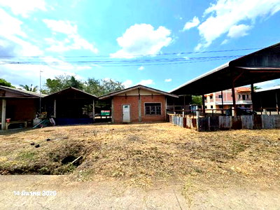 Houses for sale Tha Tako Nakhon Sawan : HOME 265 Sq.w. Tha Tako Nakhon Sawan for 1.1M