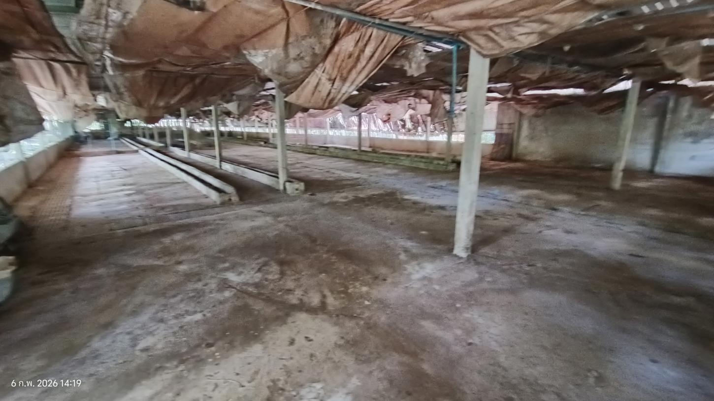 รูป เพิงอเนกประสงค์ 4000 ตร.วา ศรีนครินทร์ พัทลุง 5.1M - รูปที่ 35/40