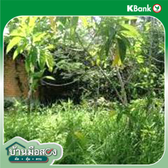 picture HOME 540 Sq.w. Yaha Yala for 1.3M - 8/10