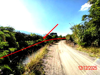 ที่ดิน ลำพูน : สวนเกษตร 8355.2 ตร.วา บ้านโฮ่ง ลำพูน 6.2M