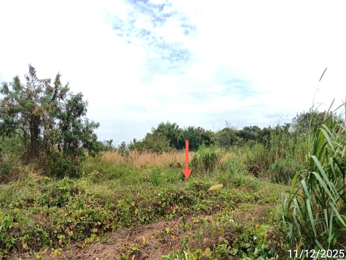 picture FACTORY 3184 Sq.w. Song Phrae for 4.5M - 12/20