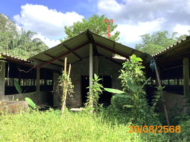 picture LAND 2165 Sq.w. Kapong Phangnga for 4M - 5/36