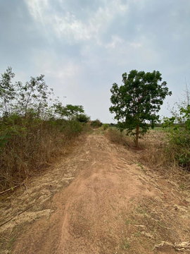 LAND 35967 Sq.w. Lam Plai Mat Buri Ram for 27.5M