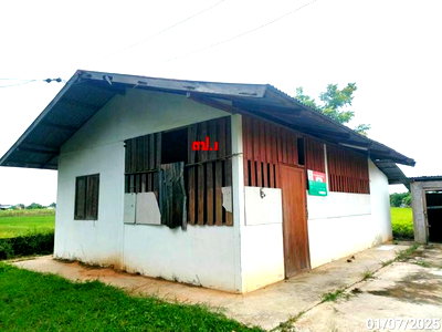 บ้านเดี่ยว มหาสารคาม : บ้านเดี่ยว 2800 ตร.วา โกสุมพิสัย มหาสารคาม 2.6M