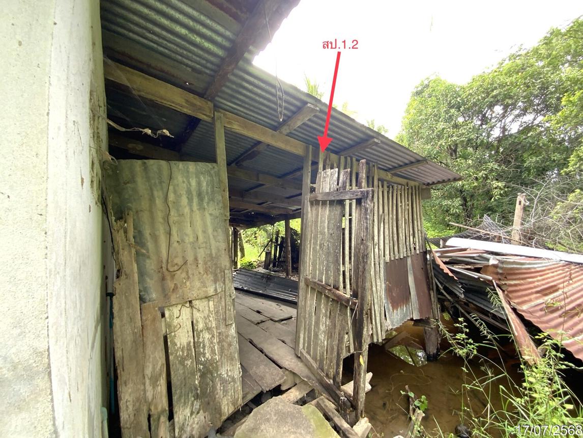 รูป บ้านเดี่ยว 726 ตร.วา ค่ายบางระจัน สิงห์บุรี 1.5M - รูปที่ 12/18
