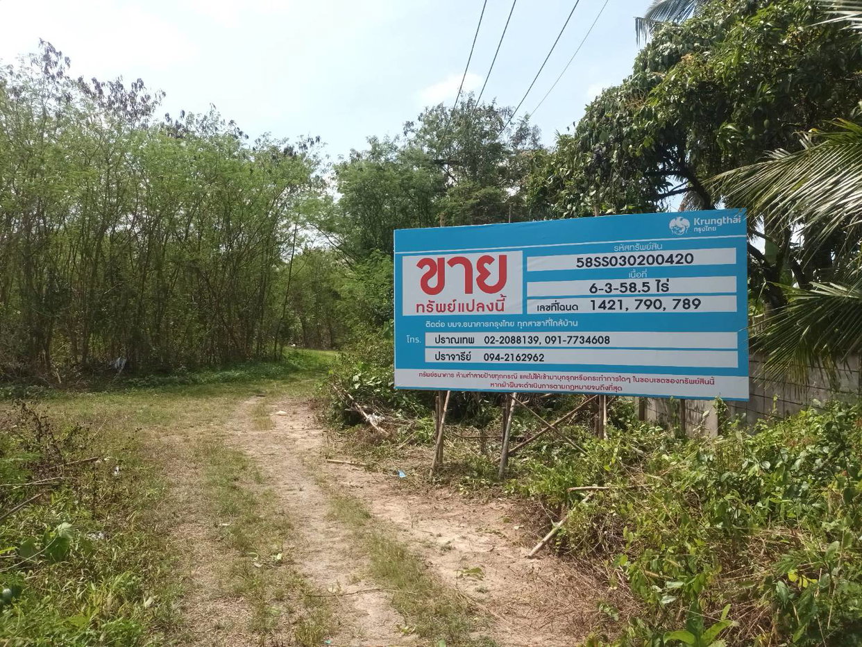 picture LAND 2789.5 Sq.w. Prasaeng Surat Thani for 16.2M - 4/5