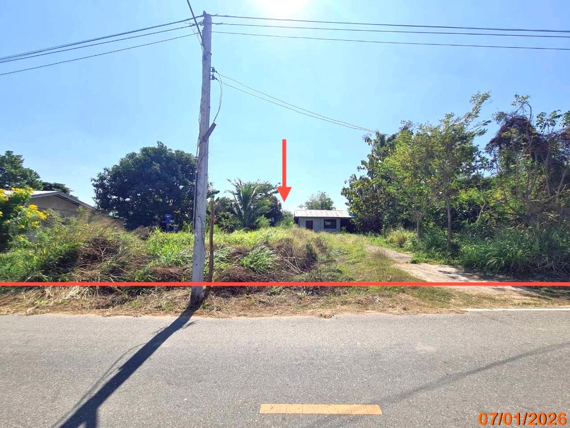 รูป บ้านเดี่ยว 200 ตร.วา ปักธงชัย นครราชสีมา 1.1M - รูปที่ 18/24