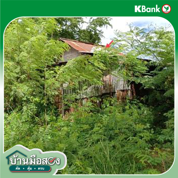 รูป เพิงอเนกประสงค์ 3000 ตร.วา สูงเนิน นครราชสีมา 4.6M - รูปที่ 22/24