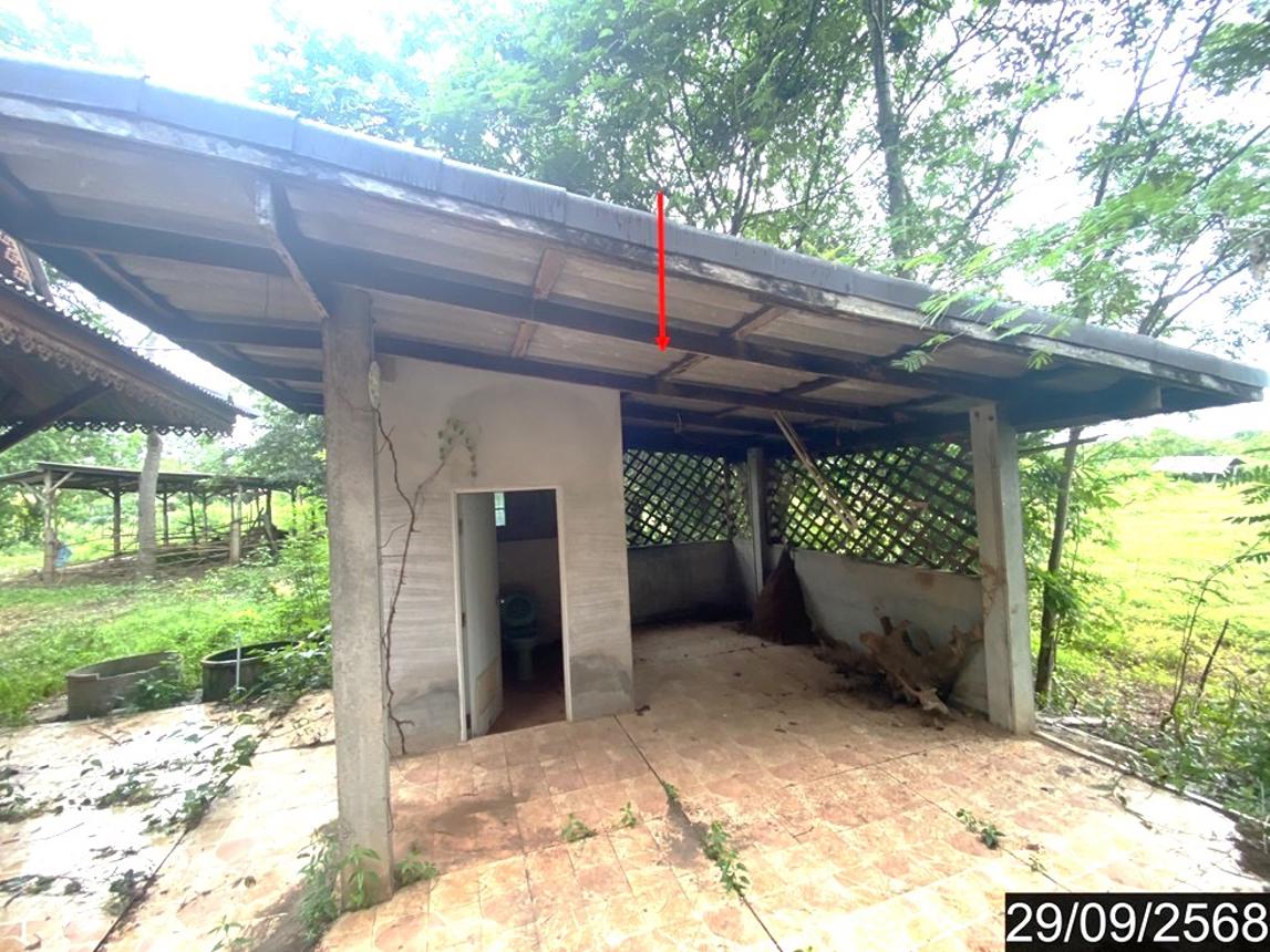picture HOME 1023 Sq.w. Tha Bo Nongkai for 2.7M - 19/30