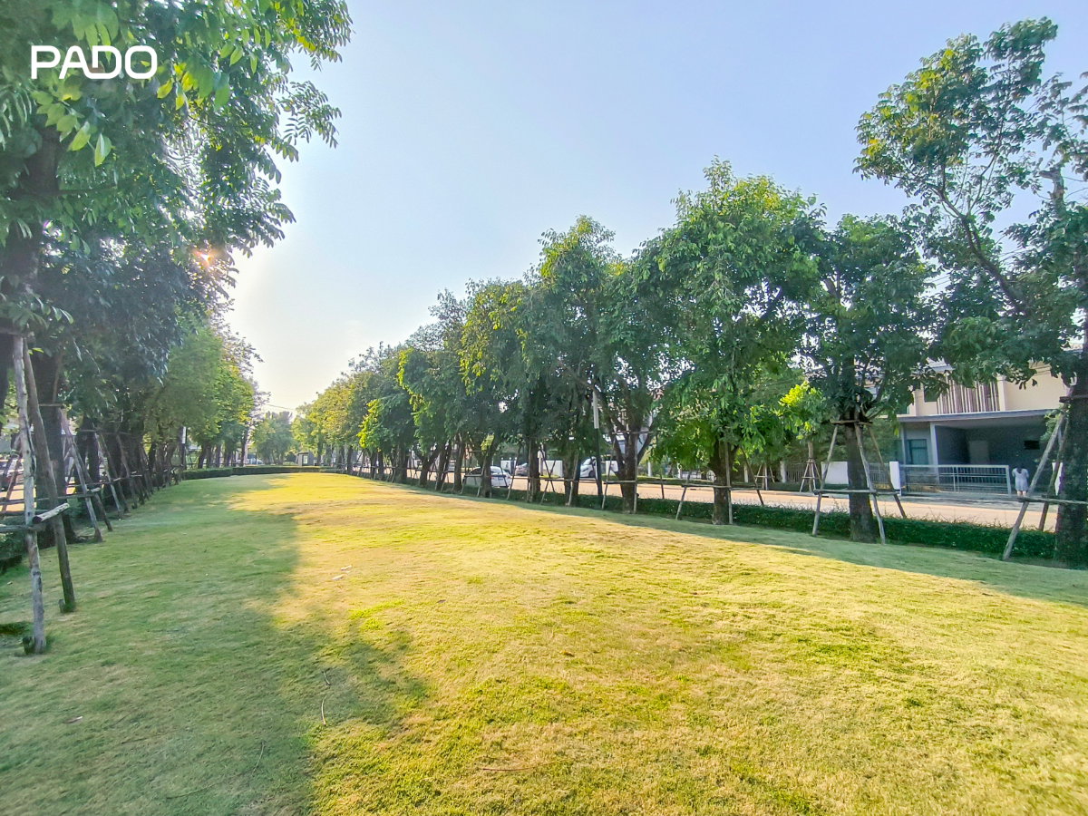 รูป บ้านเดี่ยว 83.8 ตารางวา บุราสิริ รังสิต วิวสวนโครงการ ราคาสุดคุ้ม 7.5 ล้านบาท ออกค่าโอนให้ทั้งหมด - รูปที่ 29/29